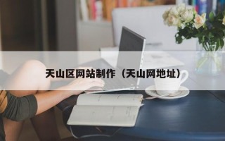 桂阳天山区网站制作（天山网地址）