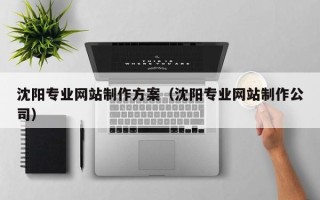 桂阳沈阳专业网站制作方案（沈阳专业网站制作公司）